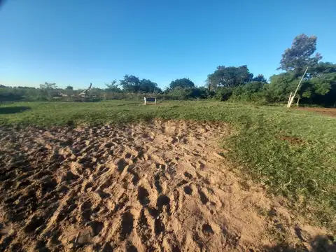 Venta - Campo Citrícola/Hortícola - Ganadero