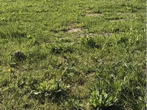 Terreno en Venta en Countries y Barrios Cerrados en San Vicente, USD 26.000