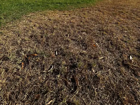 Terreno en Venta de 150000,0 m2