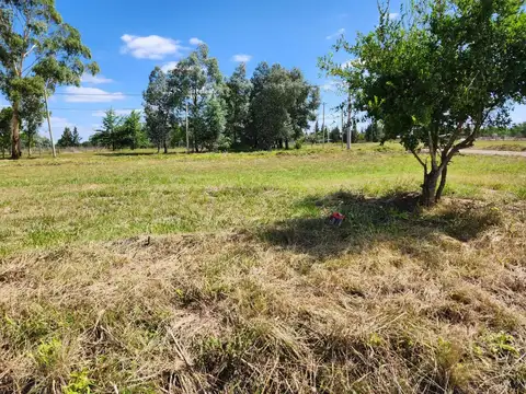 Lote en Venta en ALDEA DEL BOSQUE 2