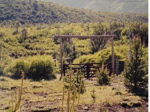 Campo en Venta de 20  ha