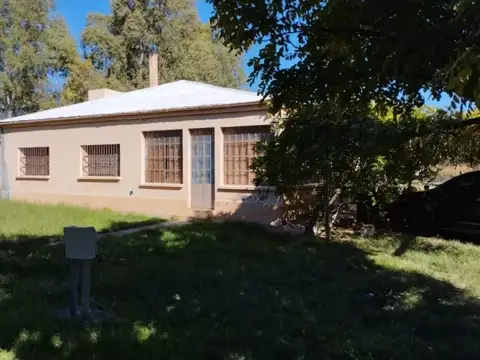 VENTA  CAMPO 40 HECTAREAS EN BOWEN GENERAL ALVEAR MENDOZA