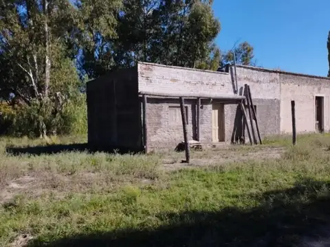 VENTA  CAMPO 40 HECTAREAS EN BOWEN GENERAL ALVEAR MENDOZA