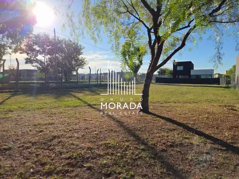 Terreno en Venta de 550,0 m2