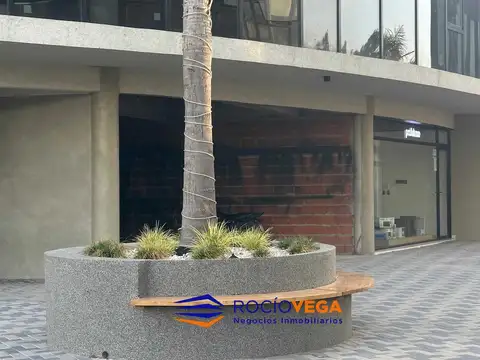 Local en Alquiler A Estrenar