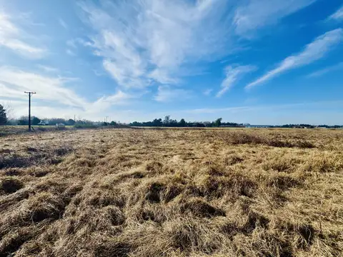 Campo venta 2,5ha (150 metros de Autopista Ros-Cor)