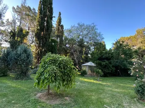 Excelente Chacra en Venta en Azul