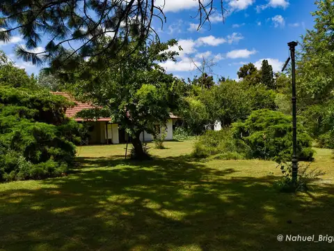 Terreno en Venta 30  mts Fondo