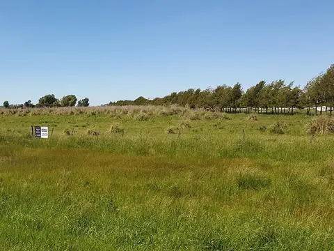 RUTA 205 KM 68
