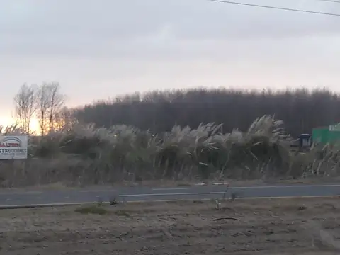 Terreno en Venta 40,17  mts Frente