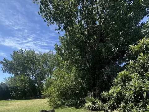 14 esquina 607