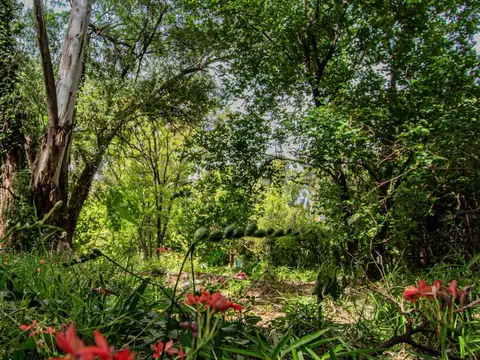 LOTE- EN VENTA - 2100m²- LOPEZ CAMELO- RICARDO ROJAS