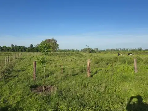 Terreno en Venta en Parada Robles, USD 39.500