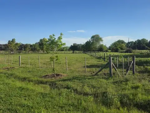 Terreno en Venta de 1500,0 m2