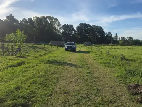 Ruta Provincial 47 y la Calandria