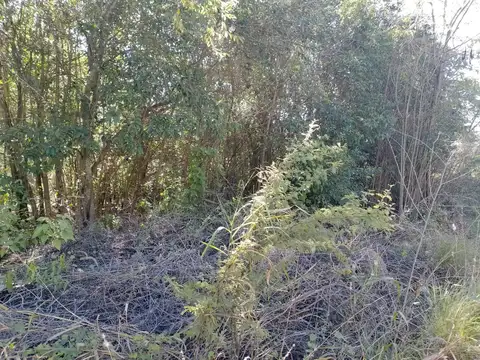 Terreno en Venta en Villa del Dique, USD 43.000