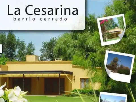 Lote Central en la Cesarina