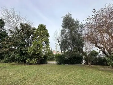 VENTA LOTE 713 MTS SAN PATRICIO ULTIMO DISPONIBLE