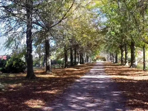 Terreno en Venta de 8883,0 m2