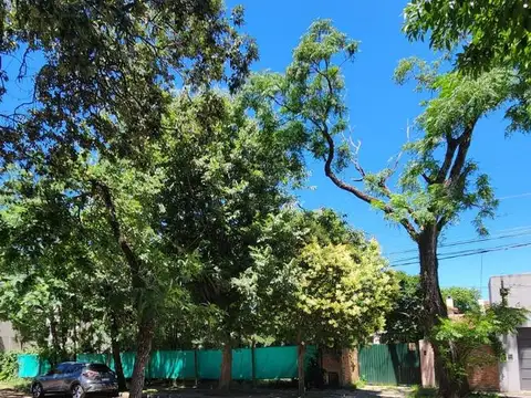 Terreno en Venta 50  mts Fondo