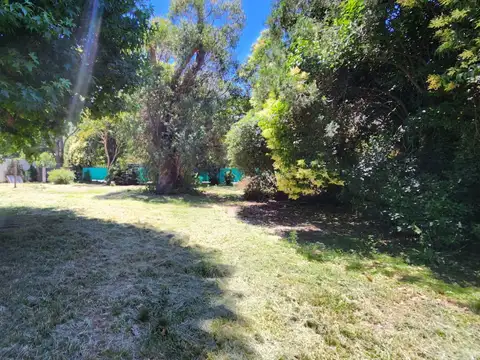 Dardo Rocha al 284 Acassuso