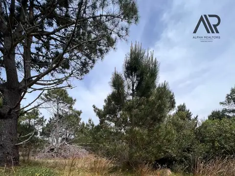 Terreno en venta de 510m2 ubicado en Punta del Diablo