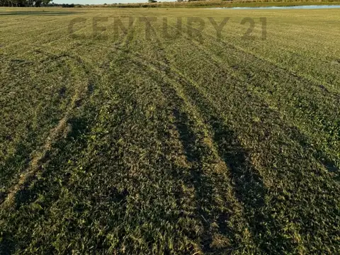 Terreno en Venta en San Javier, USD 17.000