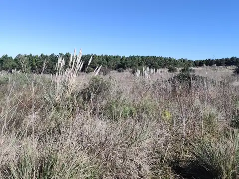 Terreno en Venta en Pampa Alta, USD 4.500