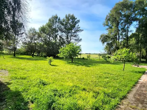 Chacra en alquiler en La Paciencia, Carabassa, Pilar, GBA Norte - 5 Ambientes
