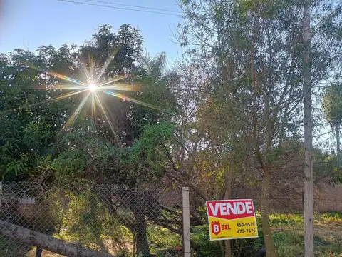 Terreno en Venta de 300,0 m2