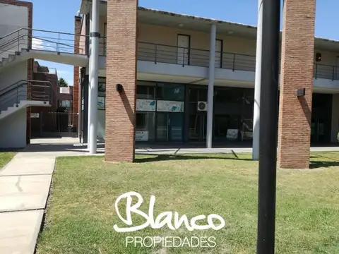 Apartamentos Del Campus -