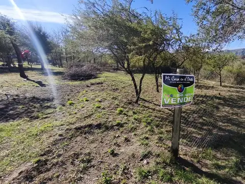 Duque del Alba
