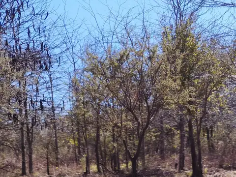 Terreno en Venta de 1510,0 m2