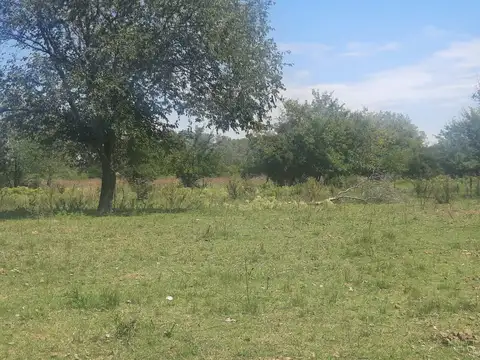 Campo de 49H en venta - Fatima Pilar km 60 Panamericana