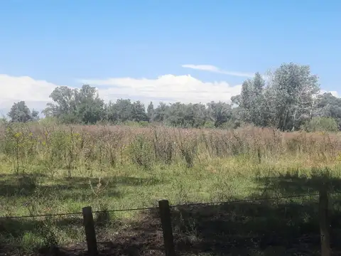 Campo de 49H en venta - Fatima Pilar km 60 Panamericana