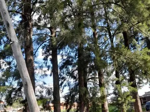 Terreno en Venta 30  mts Fondo