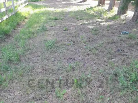LOTE EN  VENTA EN  BARRIO CERRADO  HARAS EL  TERRAPLEN