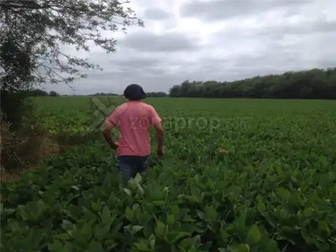 Sobre Ruta 6 . 10