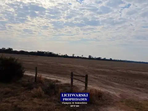 Campo en Venta de 200  ha