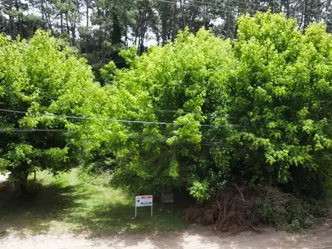 LOTES EN VENTA MAR AZUL APTO COMERCIAL ZONA CENTRO