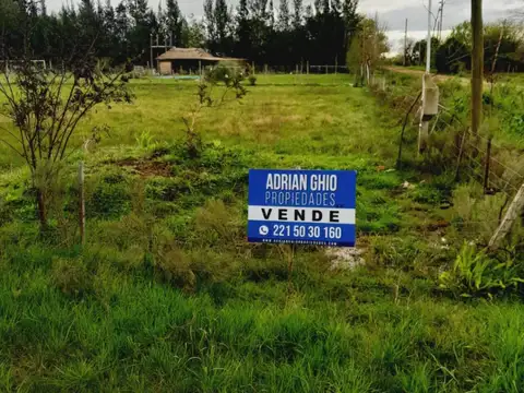 Terreno en Venta 40  mts Frente