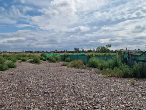 Agustin Gomez y Meglioli, Lote J 100