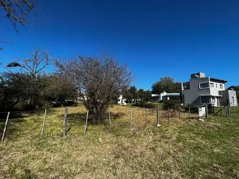 Terreno en Venta 44  mts Fondo