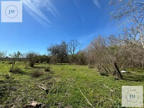 Inversión y naturaleza en Carmen de Areco.