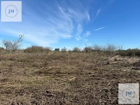 Inversión y naturaleza en Carmen de Areco.