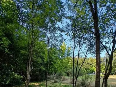 Terreno en Venta 100  mts Fondo