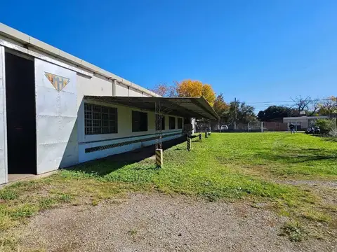 Bustamante 600