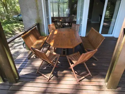 Reyezuelo y Araucaria