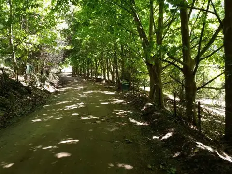Cam. a La Cumbre km 15, Agua de Oro, Córdoba