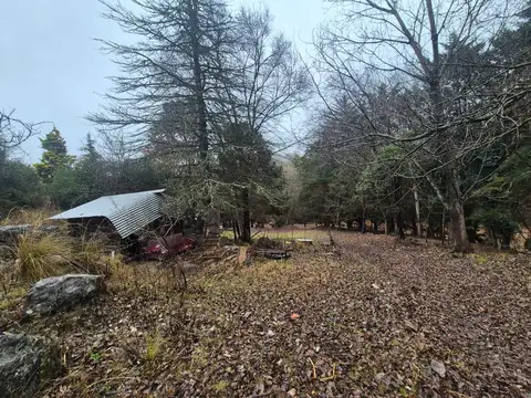 VENTA CAMPO 18HAS ARROYO CNO CANDONGA AGUA DE ORO